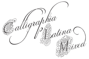 Calligraphia Latina Mixed: A Display Font Built for Digital Campaigns