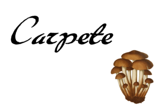 Carpete: A Naive Brush Font for Web Design