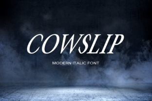 Cowslip: A Bold Font for Business