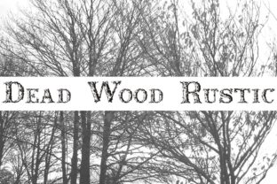 Dead Wood Rustic: A Display Typeface for Modern Web Design