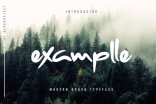 Examplle: A Font That Elevates Your Brand