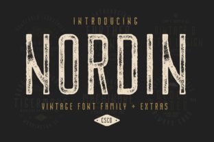Nordin Family: A Versatile Display Font for Web Designers