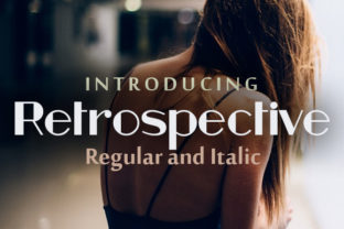 Retrospective Display Font for Web Design Projects