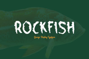 Rockfish Display Font: Bringing Character to Brand Design
