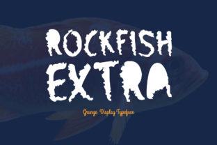 Rockfish Extra: A Display Typeface Built for Digital Storytelling
