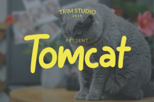 Tomcat: A Display Typeface Built for Impact