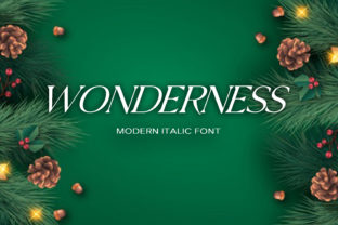 Wonderness: A Display Font for Creative Campaigns
